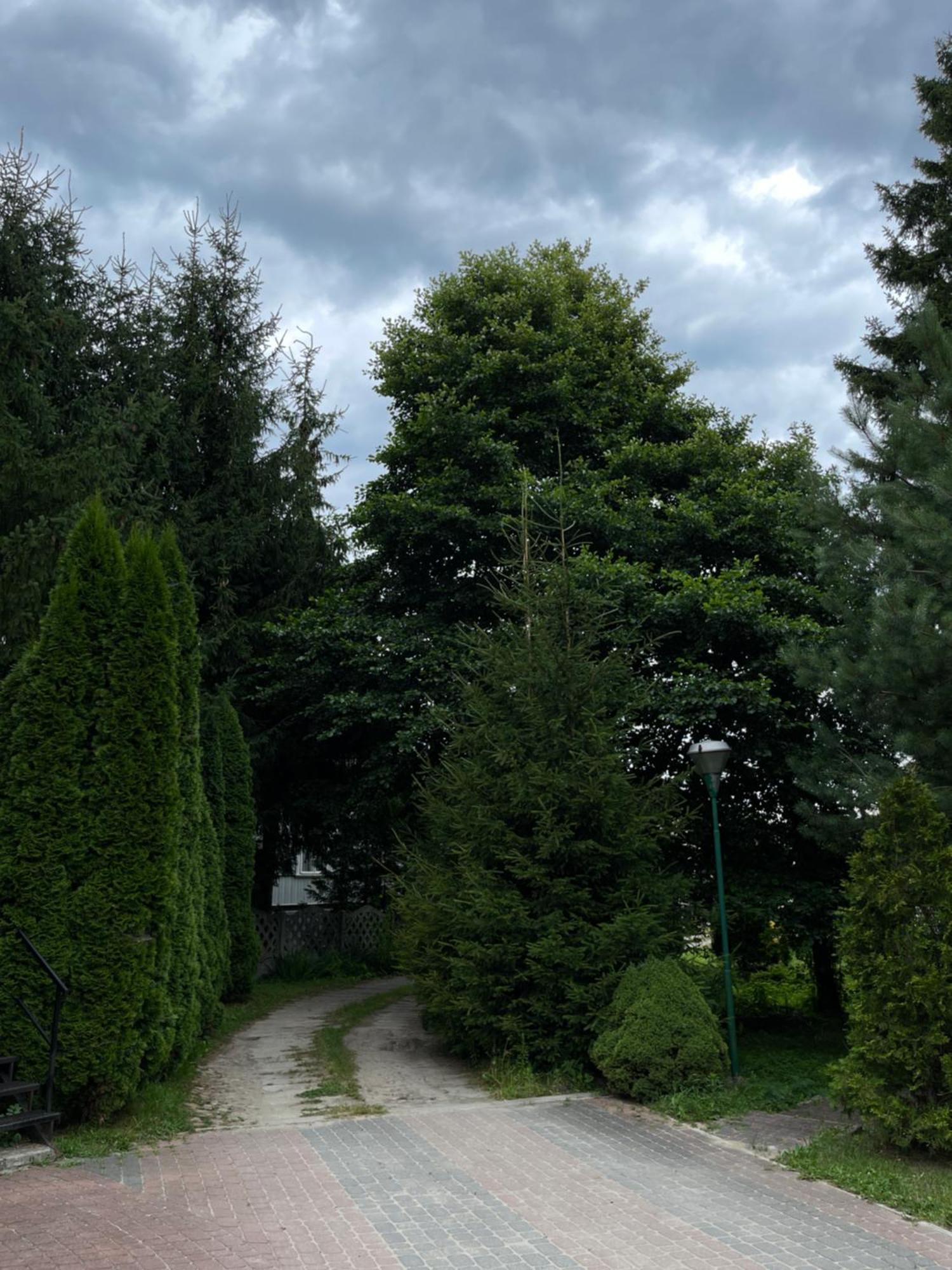 Noclegi-Splywy Bugiem Slawatycze Экстерьер фото
